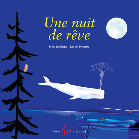 Couverture du livre Une nuit de rêve